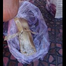 Im Bambusrohr gegartes Gemisch aus Reis und Kokosnussraspeln, schmeckt sehr gut